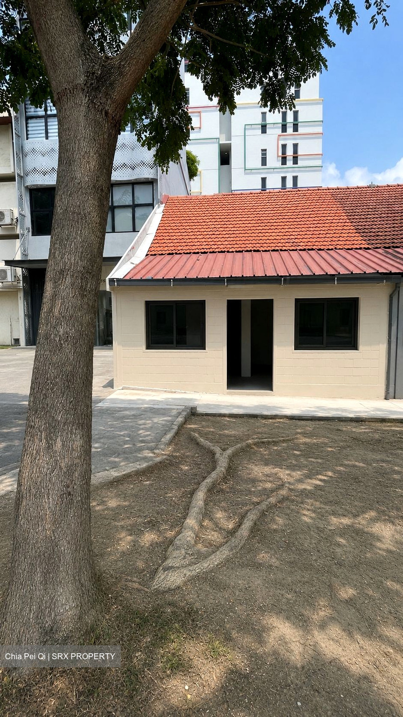 Lorong 22 Geylang (D14), Shop House #616981351